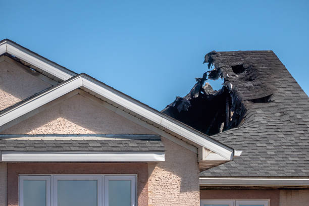 Top rated local Odor Removal specialists in Barnesville, MN